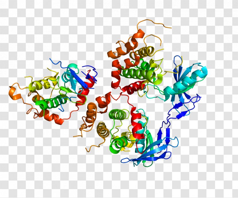 MAP2K4 Mitogen-activated Protein Kinase Dual-specificity - Silhouette - Chromosome Transparent PNG