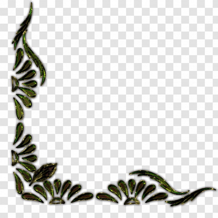 Ornament Flower Clip Art - Flora - Border Line Transparent PNG