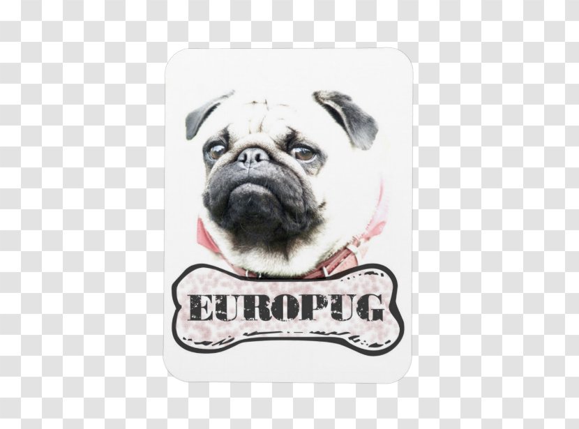 Pug Puppy Dog Breed Samsung Galaxy S5 IPhone 6 Transparent PNG