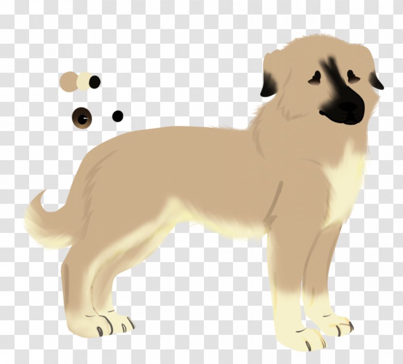 Dog Breed Puppy Sporting Group Cat - Snout - Adopt A Poster Transparent PNG