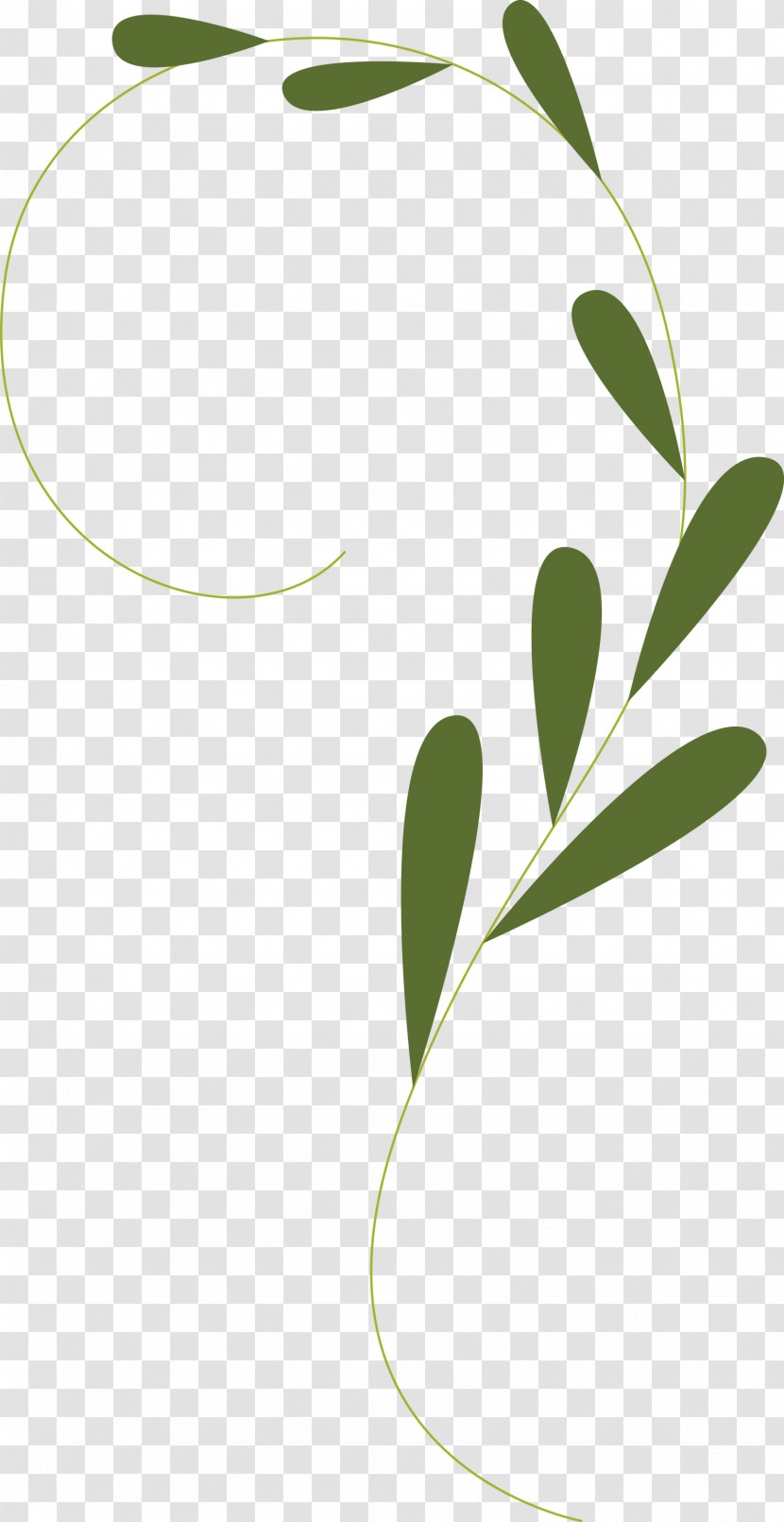 Leaf Plant Stem Line Branching Plants Transparent PNG