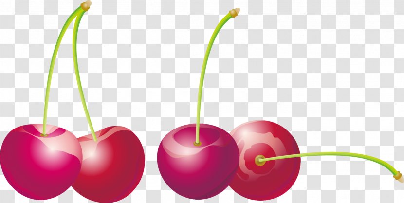 Cherry Auglis - Vector Material Transparent PNG