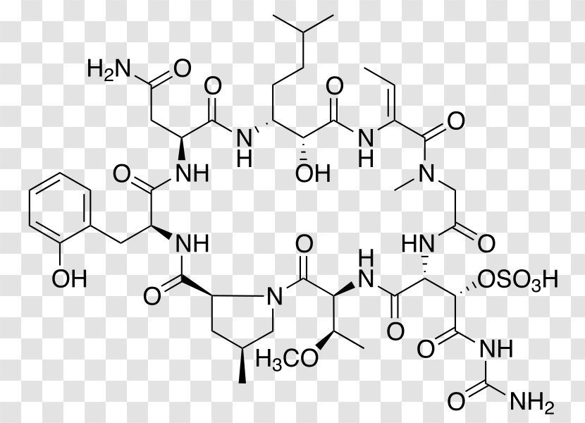 Theonella Swinhoei Nonribosomal Peptide Chemistry Marine Drugs Cyclic - Monochrome - Hormone Transparent PNG