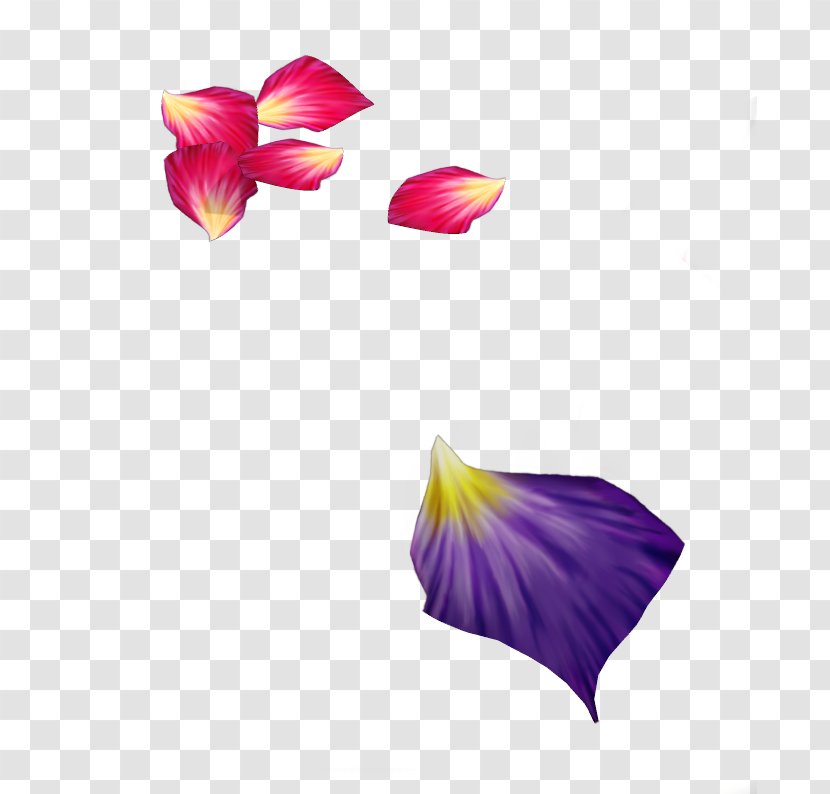 Flower Petal Purple Rose - Petals Transparent PNG
