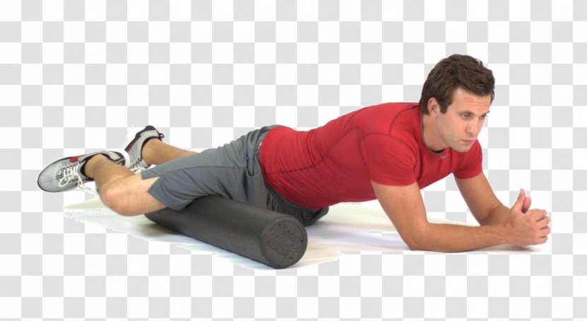 Fascia Training Myofascial Release Adductor Muscles Of The Hip Stretching Exercise - Tree Transparent PNG