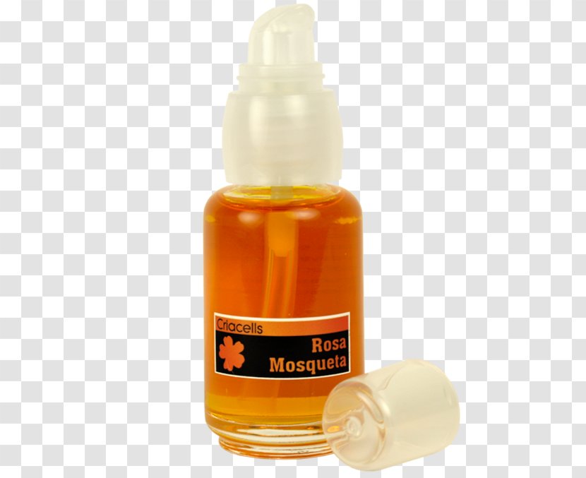 Glass Bottle Liquid - Flavor - Rosa Mosqueta Transparent PNG