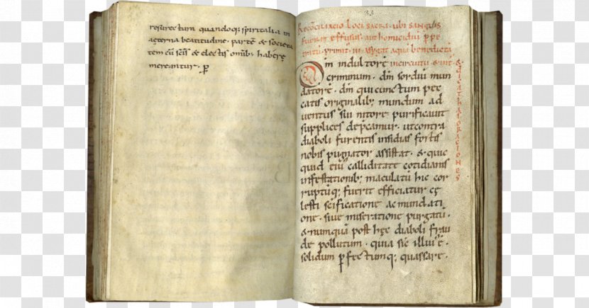 Bibliotheca Palatina Manuscript Middle Ages Book Text - Illuminated Transparent PNG