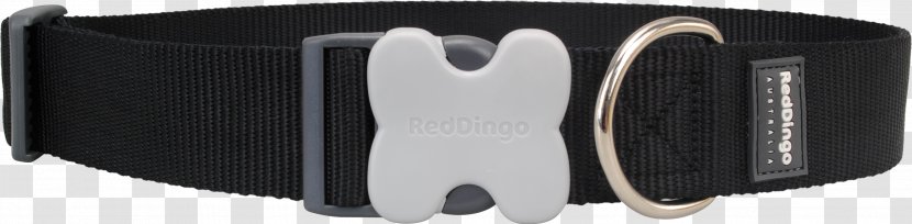 Dog Collar Dingo Fashion Transparent PNG