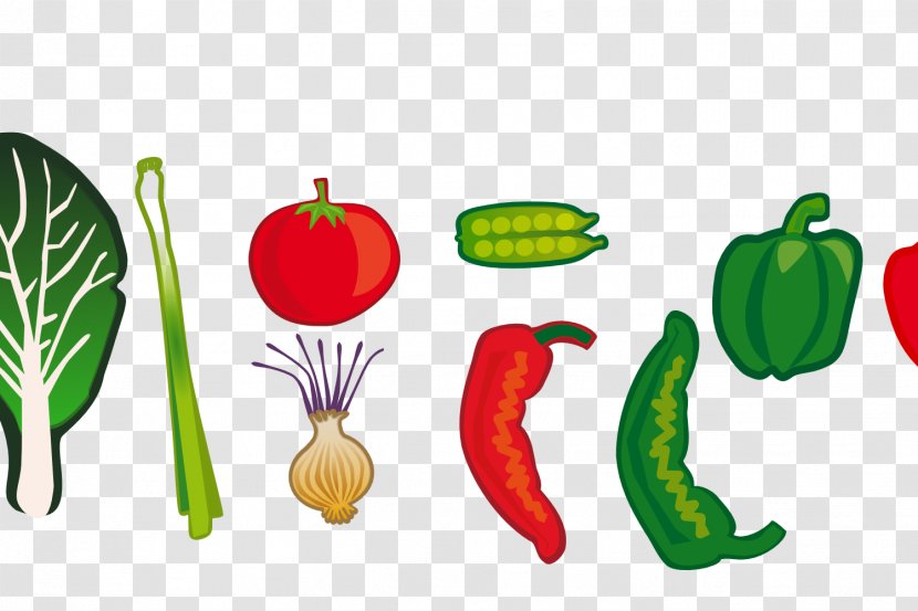 Leaf Vegetable Food Clip Art - Vegetarian - Bottle Gourd Transparent PNG