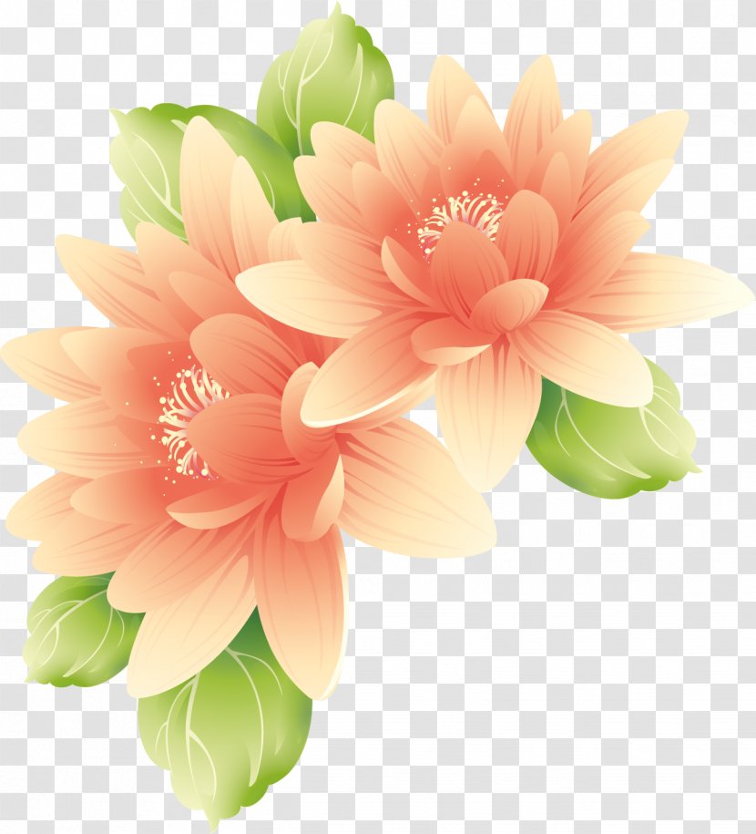 Flower Desktop Wallpaper - Lotus Transparent PNG