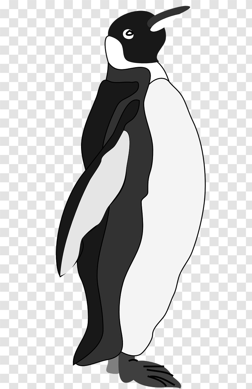 Emperor Penguin Free Content Clip Art - Royaltyfree - Arrogant Penguins Transparent PNG