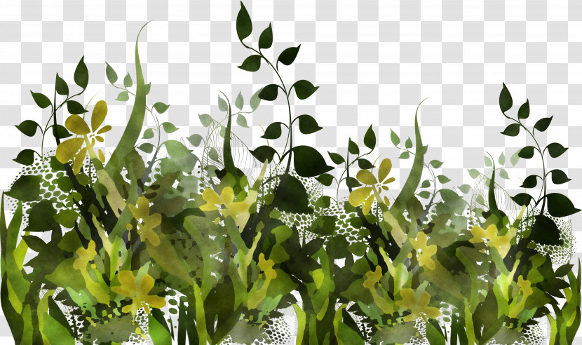 Vegetation Plant Flower Grass Grass Family Transparent PNG