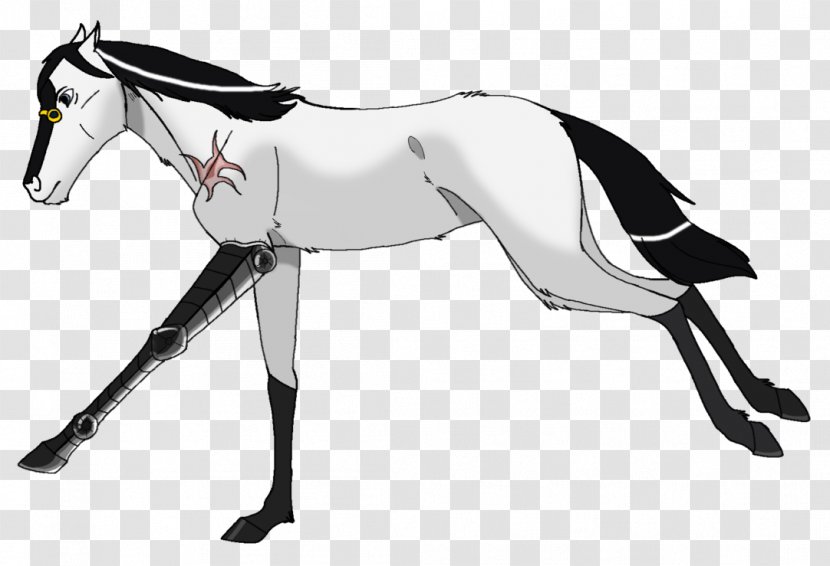 Mule English Riding Foal Stallion Rein - Joint - Mustang Transparent PNG