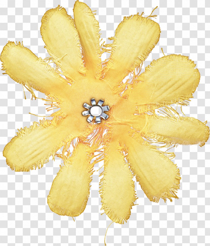 Yellow Plant Flower Hair Accessory Petal - Fashion Transparent PNG