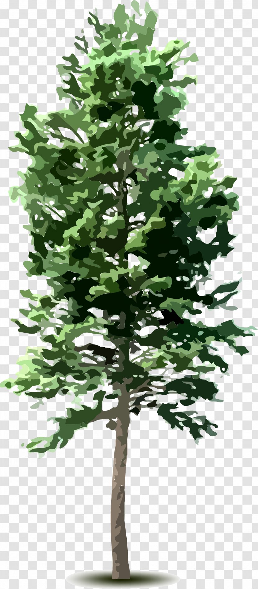Tree Plant Clip Art - Top Transparent PNG