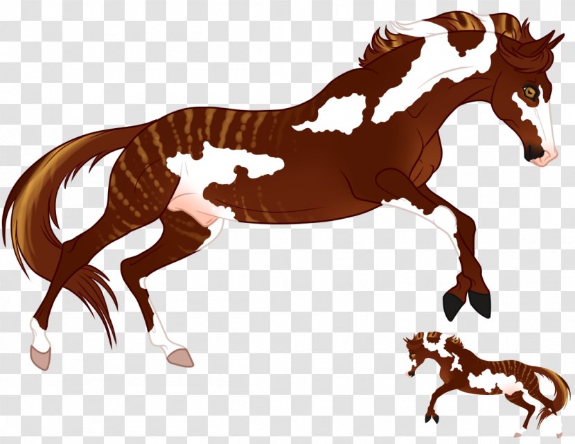 Mustang Stallion Foal Colt Mare - Livestock Transparent PNG