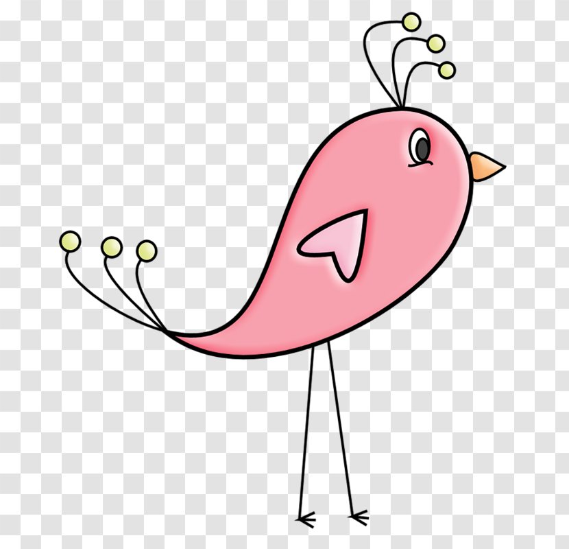 Lovebird Pink - Drawing - Birds Transparent PNG