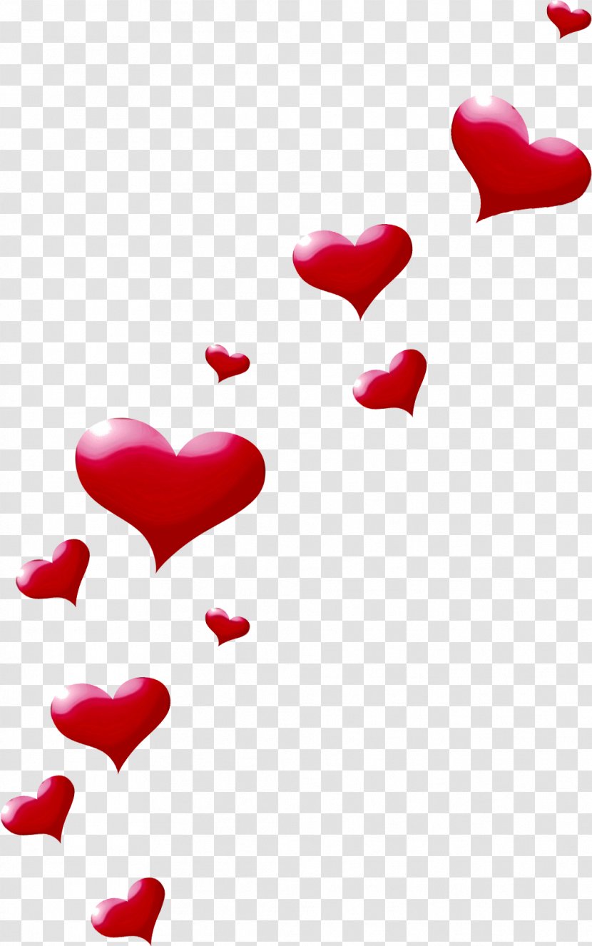 Valentine's Day - Valentines - Petal Material Property Transparent PNG