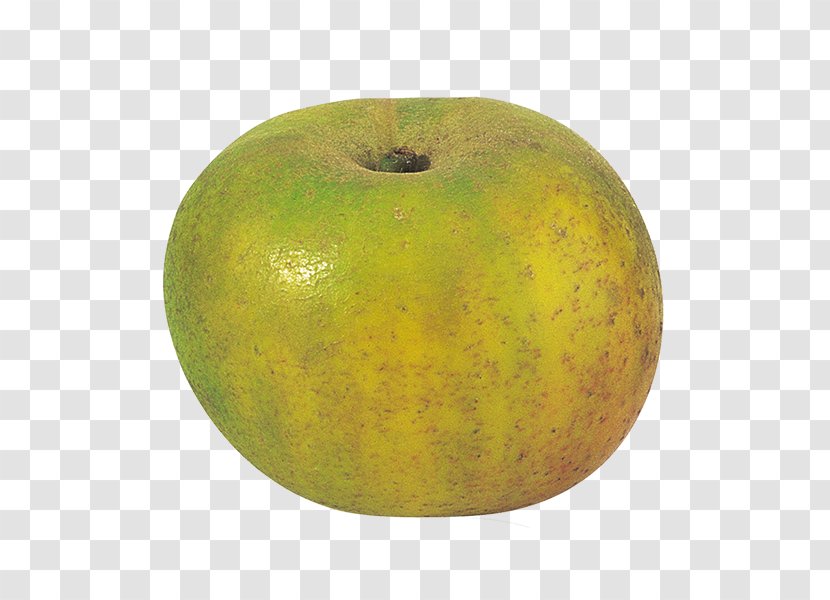 Apples Reinette Clochard Cripps Pink - Vanilla - Apple Transparent PNG