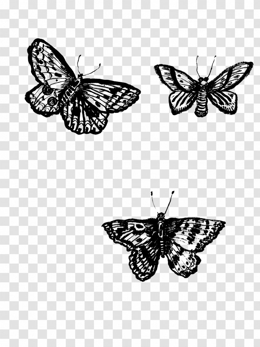 Monarch Butterfly Pieridae Moth Brush-footed Butterflies - Monochrome Photography Transparent PNG