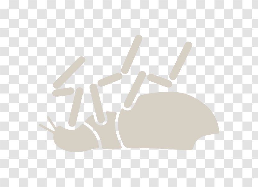 Line Angle Finger - Text - Flea Transparent PNG