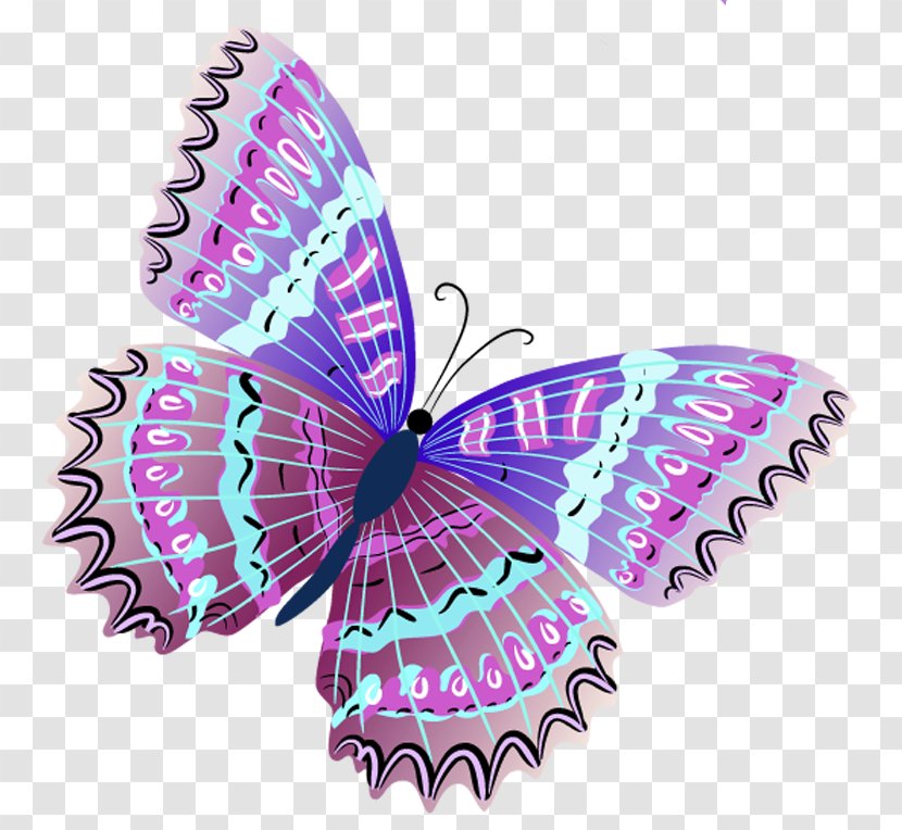 Butterfly Green Clip Art - Color Transparent PNG