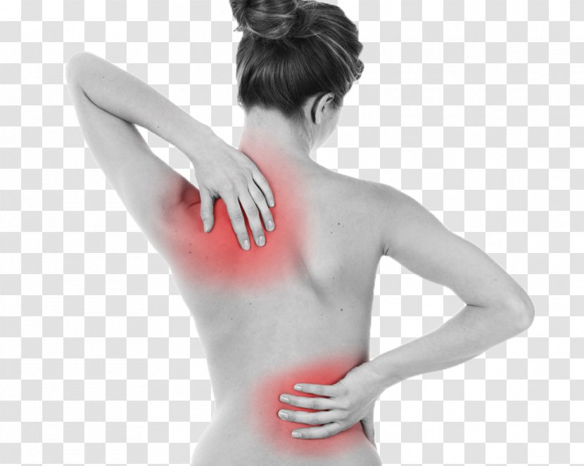 Back Pain Human Neck Disease Scoliosis - Heart Transparent PNG