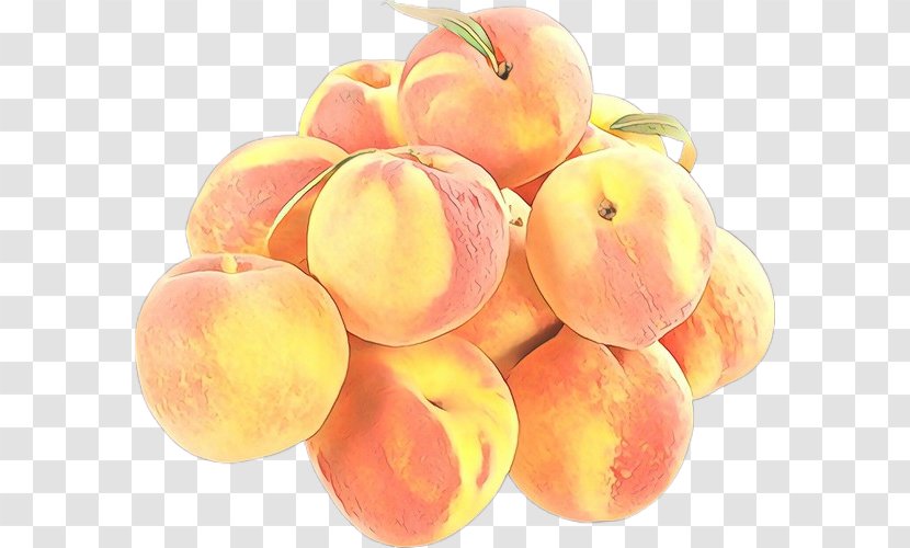 Peach European Plum Fruit Food Plant - Vitis - Superfood Transparent PNG