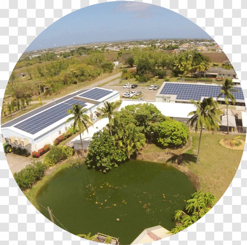Renewable Energy Power Purchase Agreement Solar Property - Plantation Transparent PNG