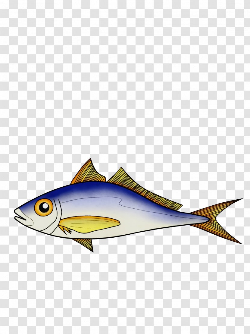 Fish Fin Perch Bony-fish - Rayfinned - Mackerel Tuna Transparent PNG