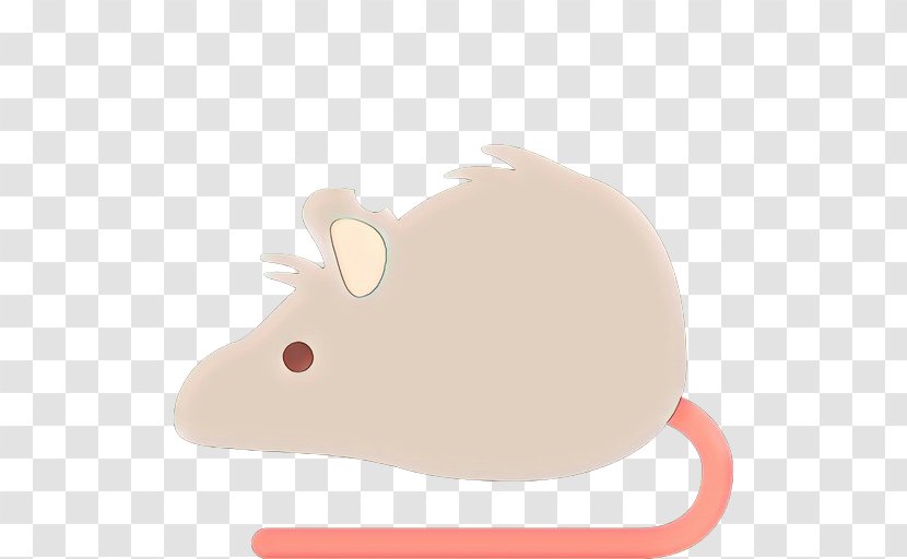 Hamster Background - Muridae - Pest Transparent PNG