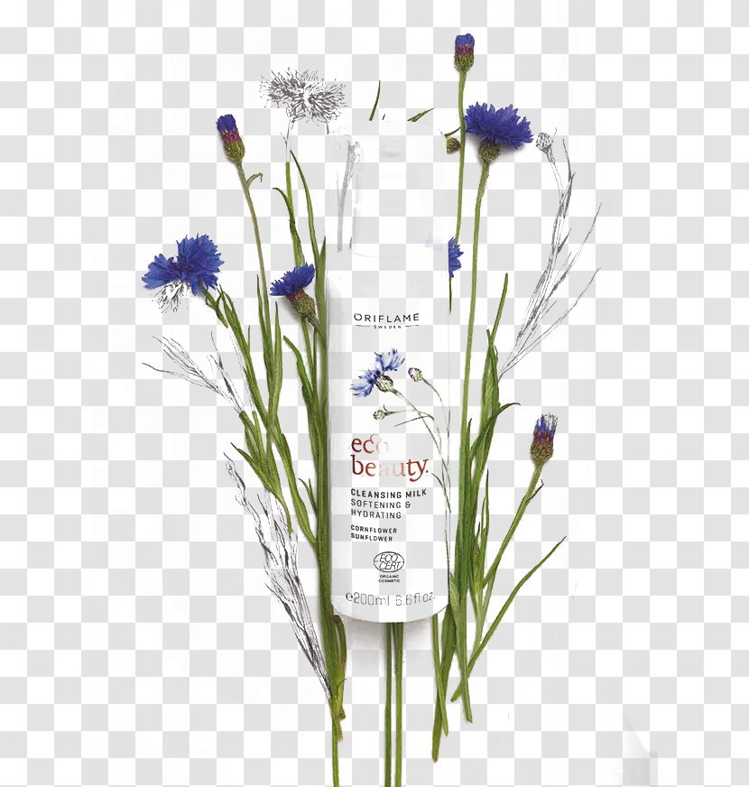 Oriflame Studio U010d.884 Cream Skin Cosmetics - Moisturizer - Painted Floral Plant Background Transparent PNG