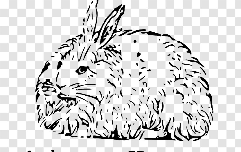 Hare Angora Rabbit Domestic Easter Bunny - Vertebrate - Cartoon Green Skin Transparent PNG