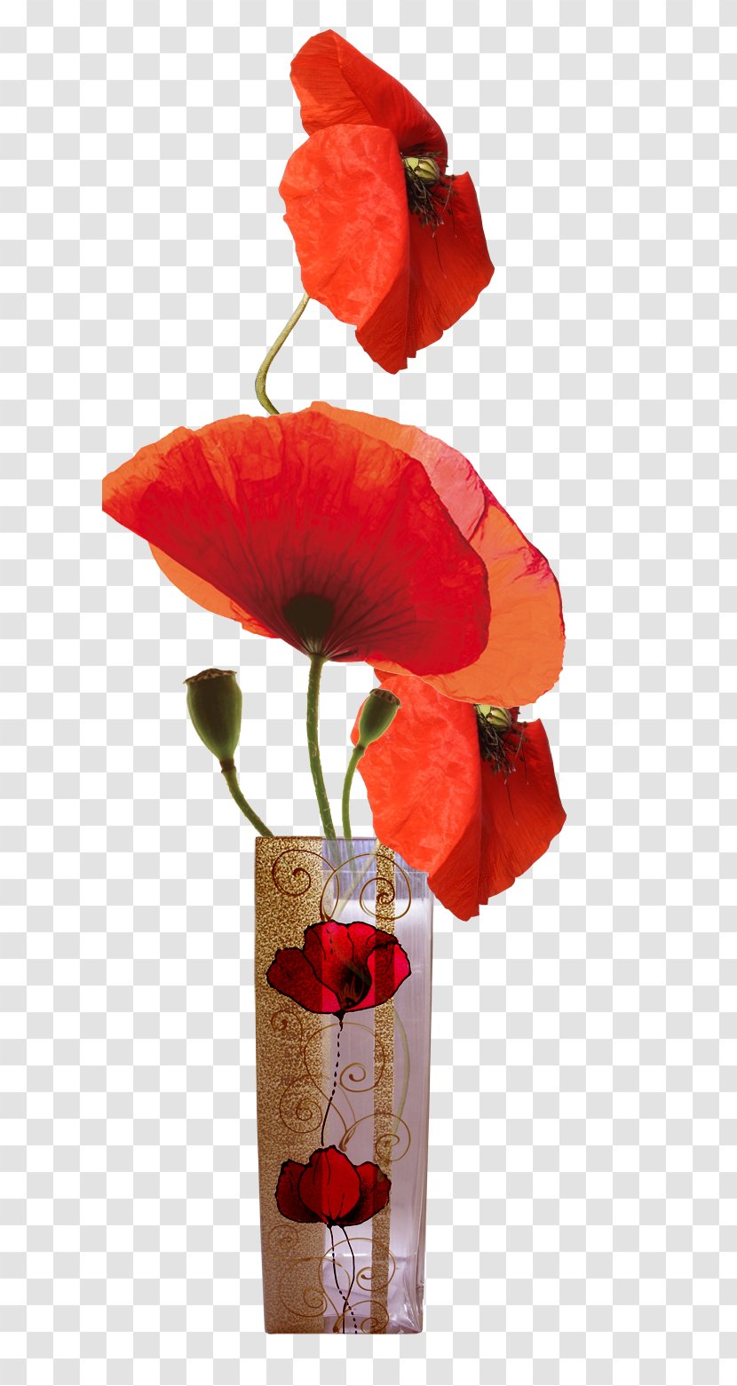 Common Poppy Photography Painting Clip Art - Tree Transparent PNG