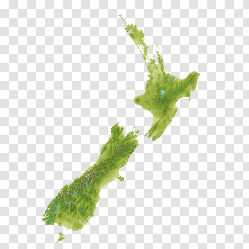 Auckland Kaikoura Orokonui Ecosanctuary Wellington Lake Rotopiko - Waipa District - New Zealand Satellite Map Transparent PNG