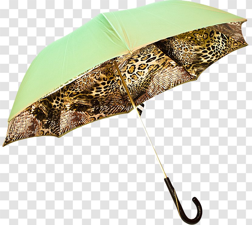 Umbrella - Fashion Accessory Transparent PNG