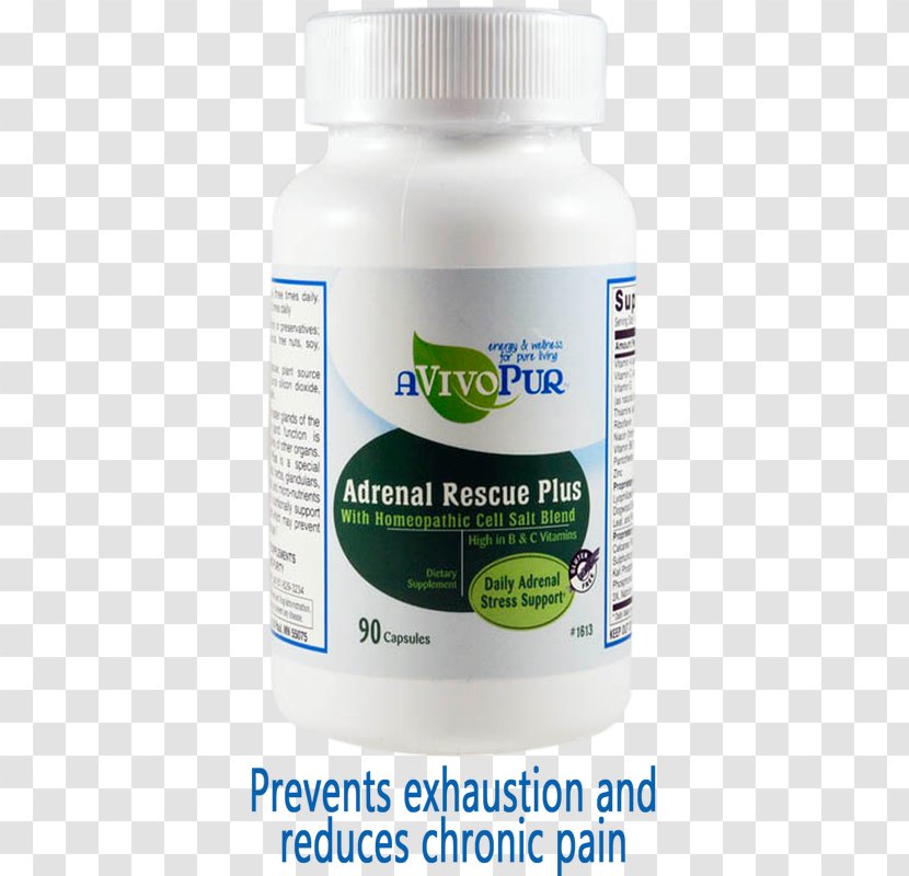 Dietary Supplement Adrenal Gland Weight Loss Detoxification - Exercise Transparent PNG