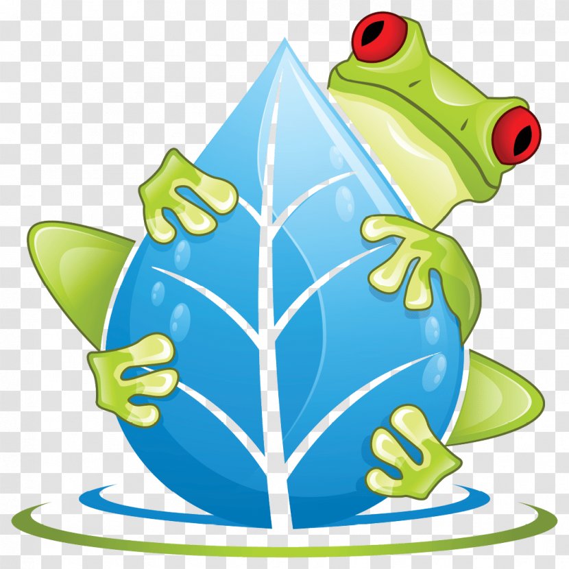 Frog Cartoon - Tree - Swamp True Transparent PNG