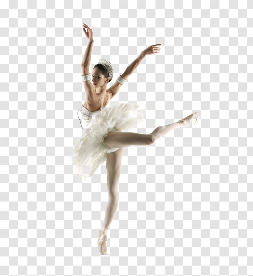 Ballet Dancer Bloch Pointe Shoe - Tutu Transparent PNG