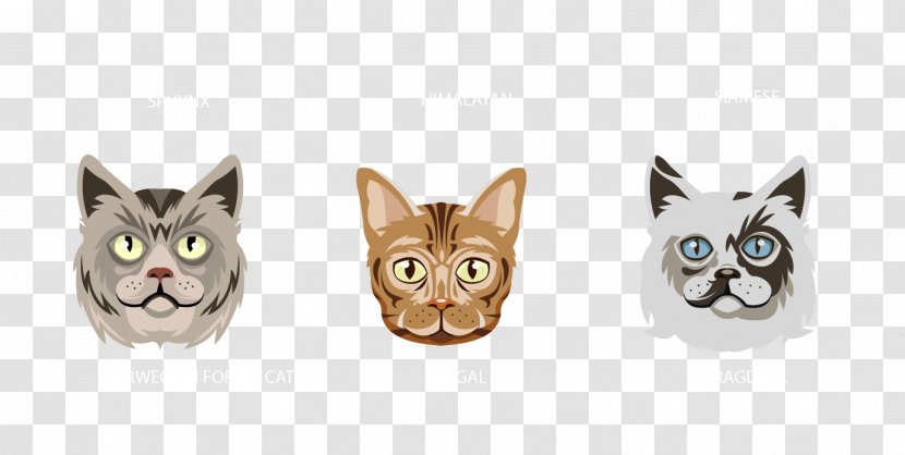 Cat Kitten Avatar - Domestic Short Haired - Vector Transparent PNG