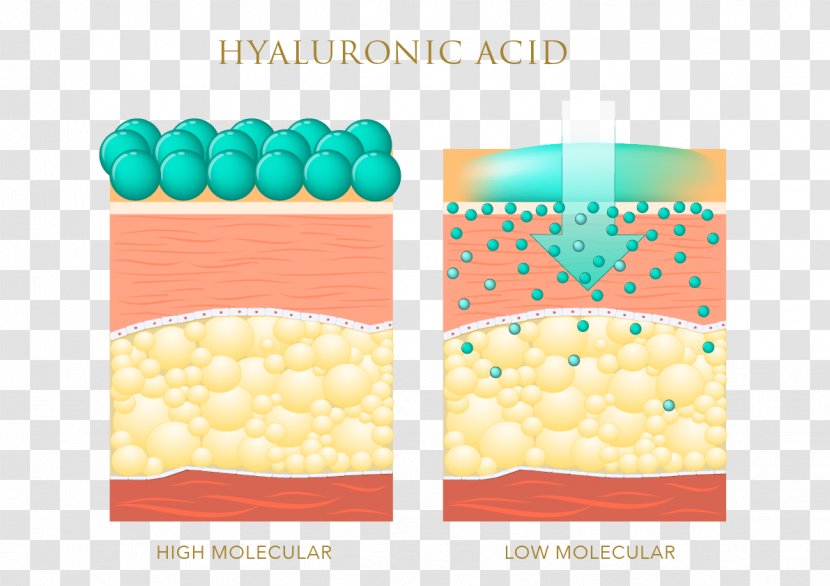 Hyaluronic Acid Skin Care Elastin Anti-aging Cream - Frame Transparent PNG