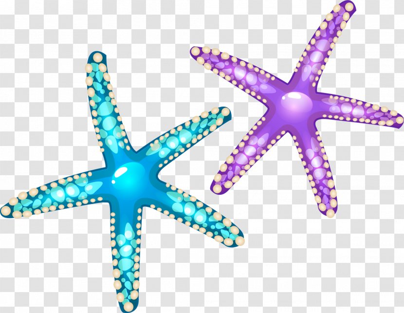 Starfish Euclidean Vector Seashell - Organism - Colorful Cartoon Transparent PNG