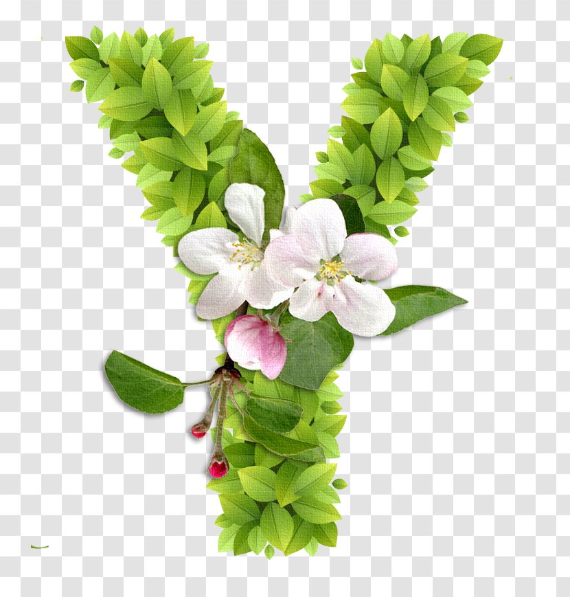 Floral Design Letter English Alphabet Flower - Plants Transparent PNG