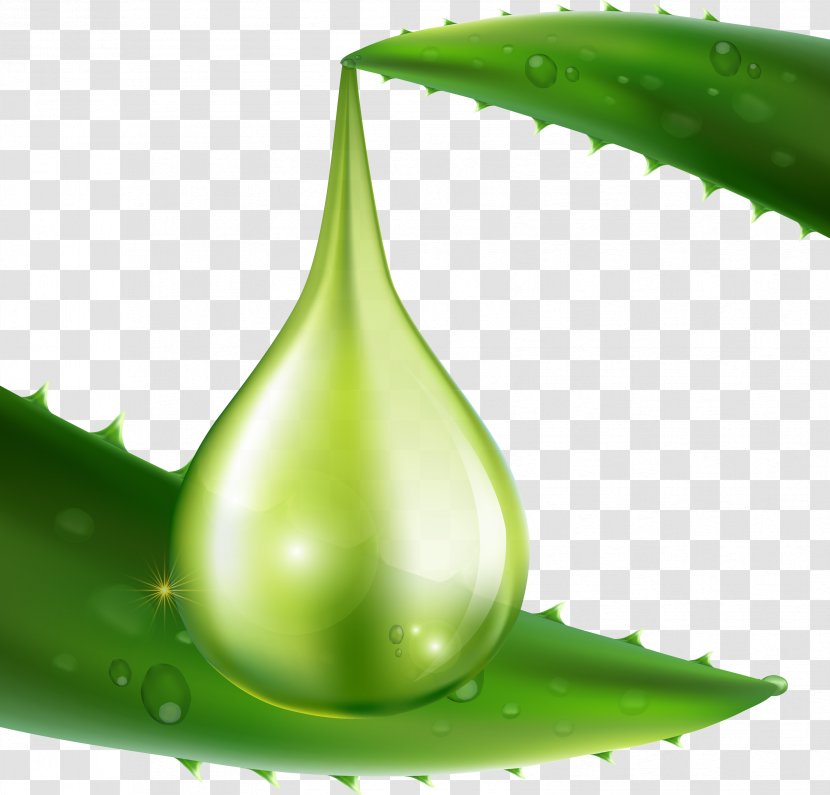 Aloe Vera Skin Care Collagen - Oil Hand-painted Deduction Material Transparent PNG
