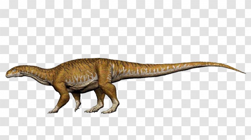 Dinosaur Sauropodomorpha Apatosaurus Ingentia Diplodocus - Triassic Transparent PNG