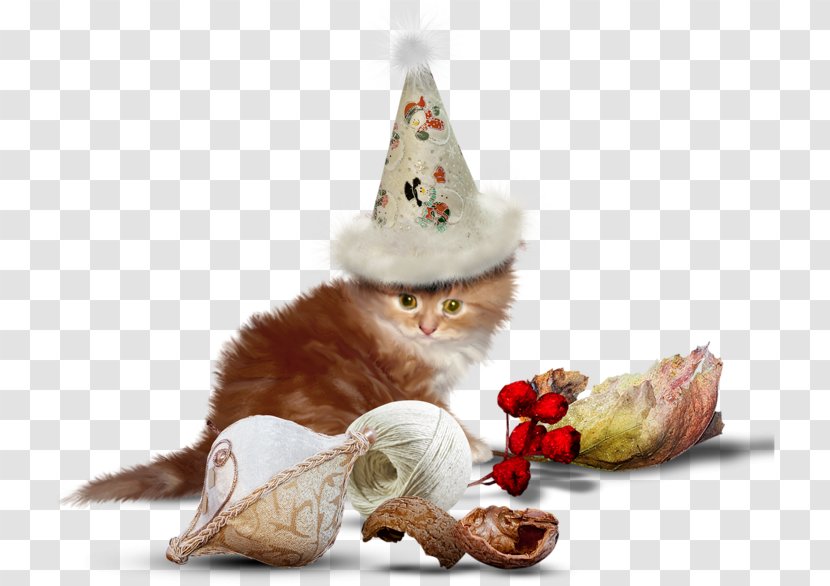 Cat Kitten Dog Image Christmas Day - Party Hat Transparent PNG