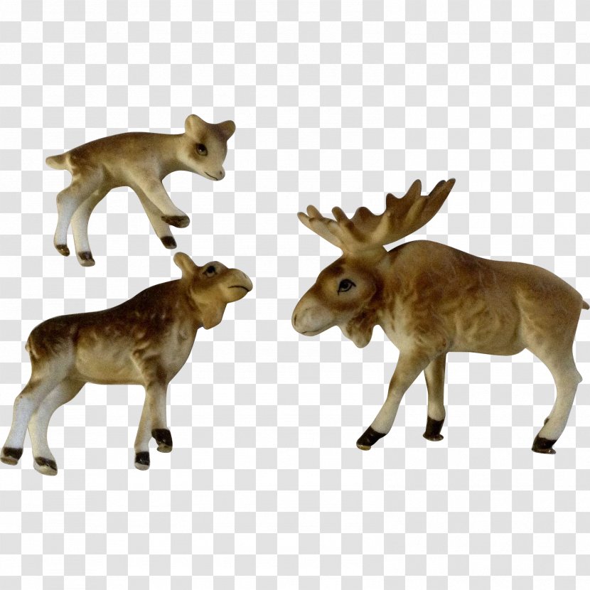 Reindeer Bone China Animal Cattle Moose - Organism Transparent PNG