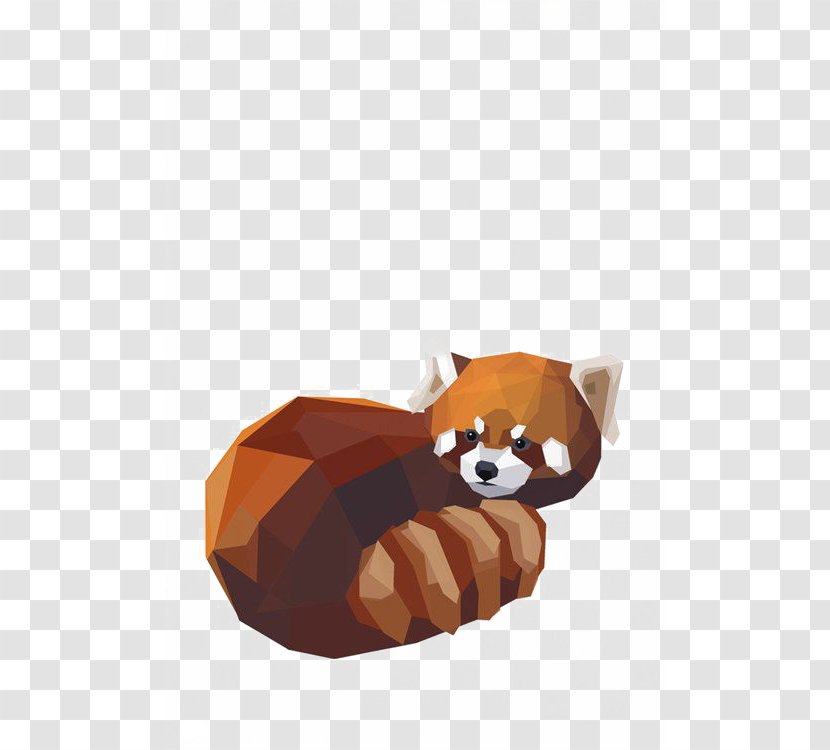 Red Panda Giant Raccoon Bear Illustration - Tail - Cartoon Transparent PNG