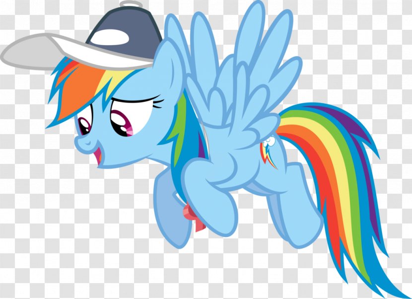 Pony Rainbow Dash Fluttershy - Frame Transparent PNG