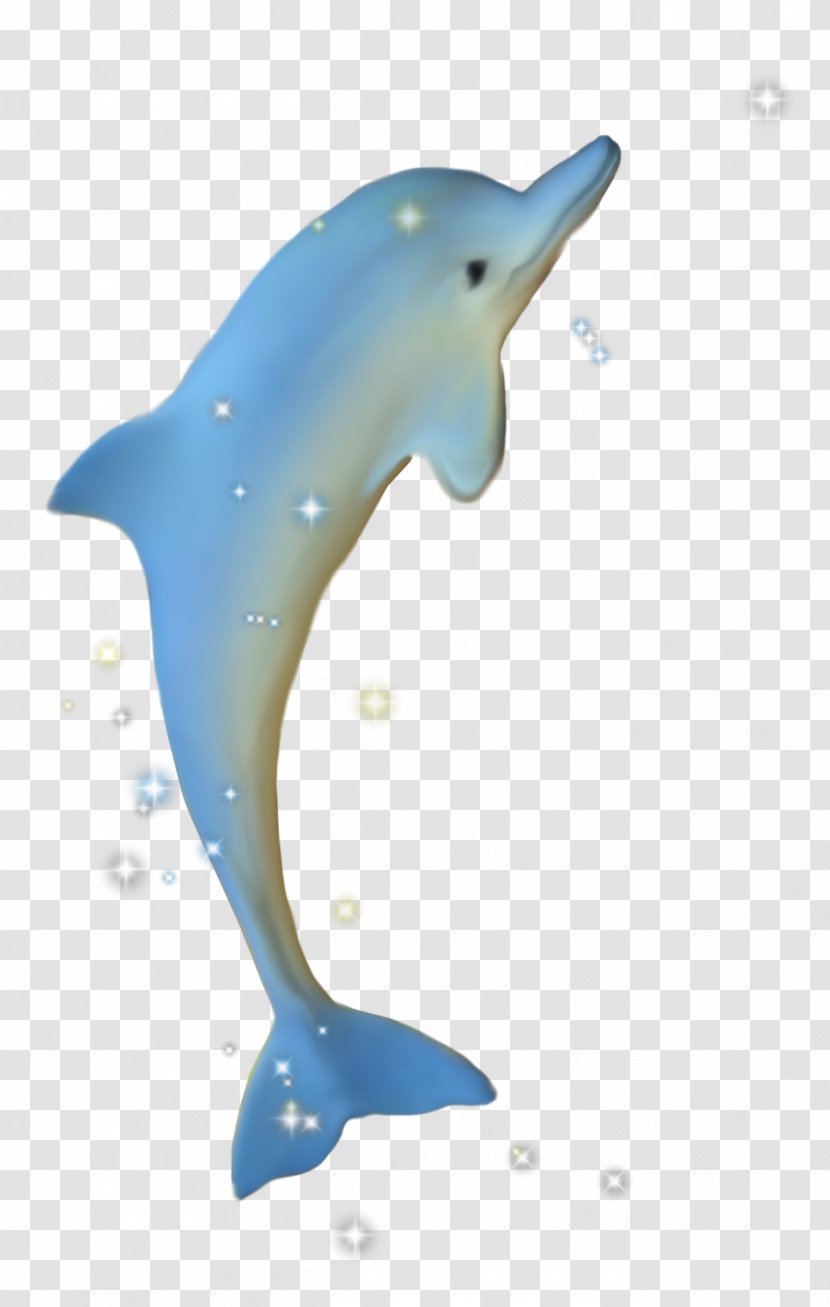 Common Bottlenose Dolphin Tucuxi Cetacea Porpoise - Water Transparent PNG